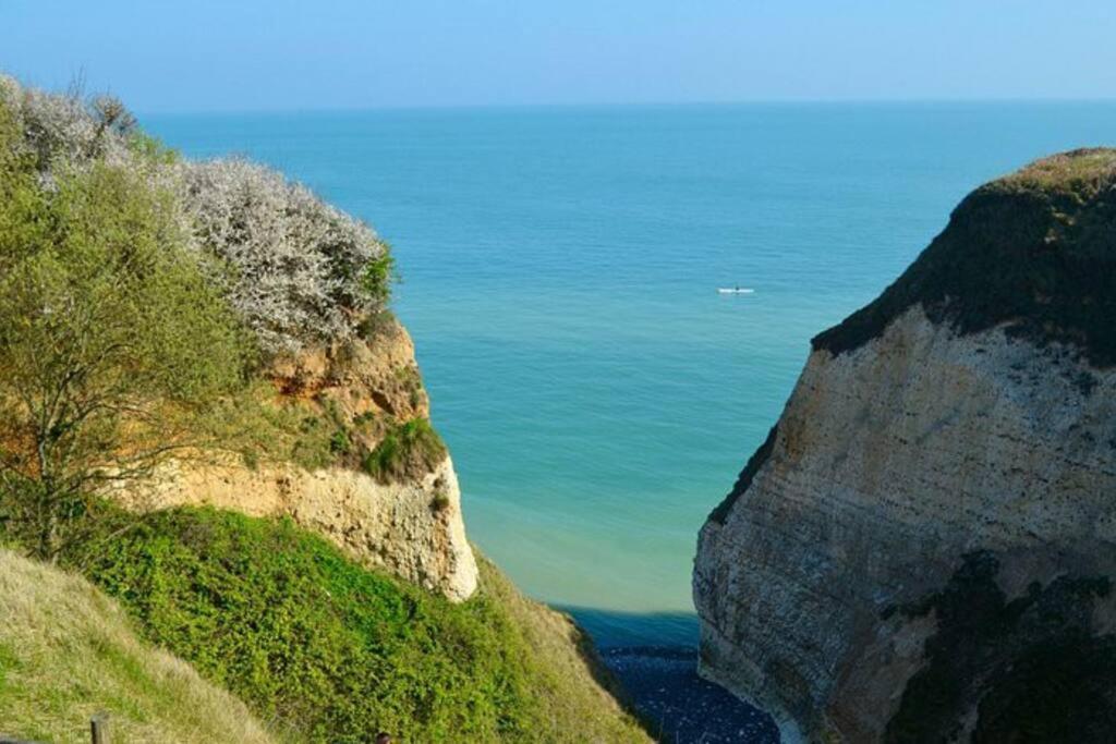 Superbe Propriete Bord De Mer - Le Clos Ricarda Sainte-Marguerite  Exterior photo